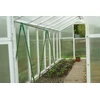 Bradas SIATKA PODPORA DO ROŚLIN PNĄCYCH PLANT NET 2x10m