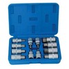 Galvučių su antgaliais rinkinys SATRA S-SH1212; 1/2''; 5-22 mm; 12 vnt.