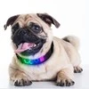 Doggy Village Programuojamas / interaktyvus antkaklis su spalvotu LED ekranu vidutiniams ir dideliems šunims