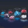 4M Crystal Growing Kristalų auginimo rinkinys