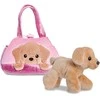 Fancy Pals Išskirtinis Pal – pliušinis žaislas labradoro šuniukas PeekaBoo rožiniame maišelyje, 20 cm, ekologiškas