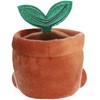 AURORA PALM PALS Pliušinis augalas vazonėlyje, 11 cm