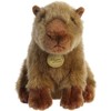 AURORA PLUSH AURORA MIYONI Pliušinė kapibara, 20 cm