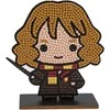 CRAFT BUDDY HARRY POTTER Piešimo deimantais rinkinys „Hermiona Įkyrėlė“