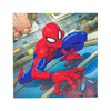CRAFT BUDDY SPIDER-MAN CRYSTAL ART Atvirukas „Žmogus-voras“, 18 x 18 cm