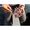 Dėlionė RECENT TOYS Galvosūkis BRAIN STRING ADVANCED
