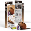 Fat Brain Toys EUGY 3D kartoninis modelis „Bebras“