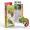 Dėlionė EUGY 3D kartoninis modelis „Chameleonas“