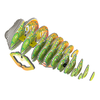 Dėlionė EUGY 3D kartoninis modelis „Chameleonas“