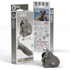 Dėlionė EUGY 3D kartoninis modelis „Koala“