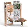 Dėlionė EUGY 3D kartoninis modelis „Tinginys“