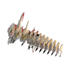 Dėlionė EUGY 3D kartoninis modelis „Velociraptorius“