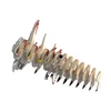 Dėlionė EUGY 3D kartoninis modelis „Velociraptorius“