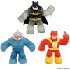 HEROES OF GOO JIT ZU DC GOO SHIFTERS Herojaus figūrėlė