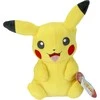 Jazwares POKEMON Pliušinis Pokemonas, 20 cm