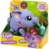 Interaktyvi žaislinė drambliukė LITTLE LIVE PETS