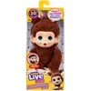 Little Live Pets - My Baby Mini Monkey Rožinė Lemonz (26764)