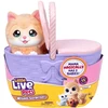 LITTLE LIVE PETS Interaktyvus rinkinys „Mama Surprise Kitty“