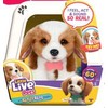 Interaktyvus šuniukas LITTLE LIVE PETS „Tikrai tikras“