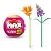 MAX GARDEN Konstruktorius „Gėlė“