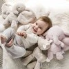 NATTOU Fanfan plush toy elephant sand, 26cm