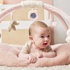 NATTOU Fanfan Stuffed playmat with arches