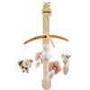NATTOU Fanfan Wooden musical mobile