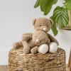 NATTOU TEDDY Mažasis meškutis, 24 cm