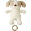 NATTOU TEDDY Muzikinis šuniukas, 16 cm