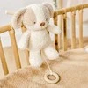 NATTOU TEDDY Muzikinis šuniukas, 16 cm