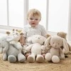 NATTOU TEDDY Pliušinis zuikutis 37cm