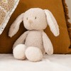 NATTOU TEDDY Pliušinis zuikutis 37cm
