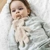 NATTOU TEDDY Zuikutis su čiulptuko laikikliu, rudas