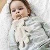 NATTOU TEDDY Zuikutis su čiulptuko laikikliu, pilkas
