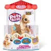 PETS ALIVE Interaktyvus ponis