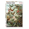 PIATNIK Dėlionė 1000 vnt. - Ernst Haeckel: Kolibriai