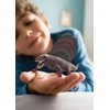 Schleich Dimetrodonas