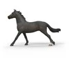 Schleich figūrėlė Anglų grynakraujė kumelė