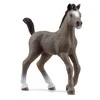 Schleich figūrėlė Cheval de Selle Francais veislės kumeliukas