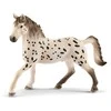 Schleich figūrėlė Knabstrupper veislės arklys