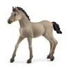 SCHLEICH „Arklių klubas“ figūrėlė - Kreolų veislės kumeliukas