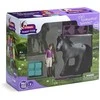 SCHLEICH HORSE CLUB Lizos turnyro treniruotė