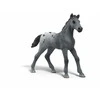 SCHLEICH HORSE CLUB Lizos turnyro treniruotė