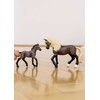 Schleich figūrėlė Peruvių paso veislės žirgas