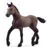 Schleich figūrėlė Paso Peruano veislės kumeliukas
