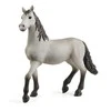 Schleich figūrėlė „Pura Raza Española“ jaunas žirgas