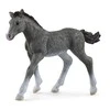 SCHLEICH „Arklių klubas“ figūrėlė - Trakėnų veislės kumeliukas
