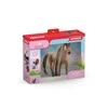 SCHLEICH SOFIA´S BEAUTIES „Beauty Horse“ Tekkiner veislės žirgas