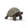 Schleich figūrėlė Galapagų vėžlys