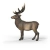 SCHLEICH WILD LIFE Elnias
